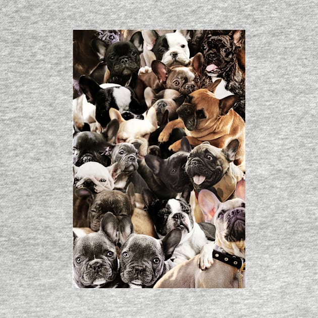 French Bulldogs by MaxencePierrard